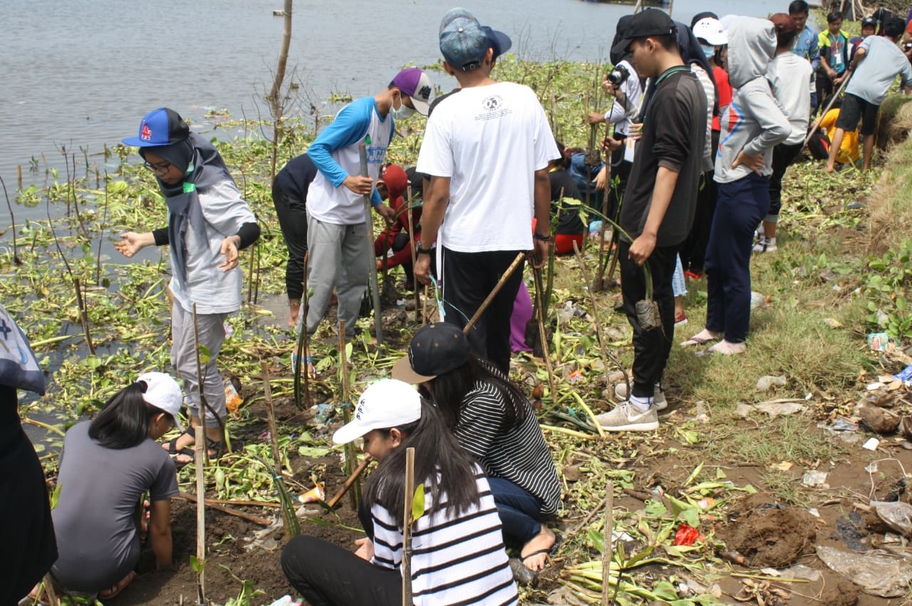 BEM Fakultas Pertanian UPY Bekerja sama dengan Sosmas DIY Adakan Kegiatan GO GREEN di Pantai Baros, Yogyakarta